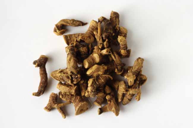 Panax Ginseng